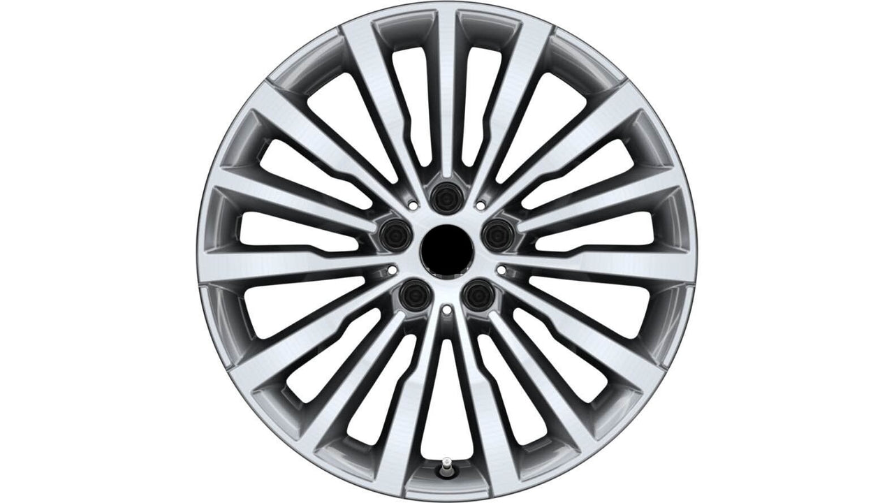 Multi-spoke 731 BMW wheel
