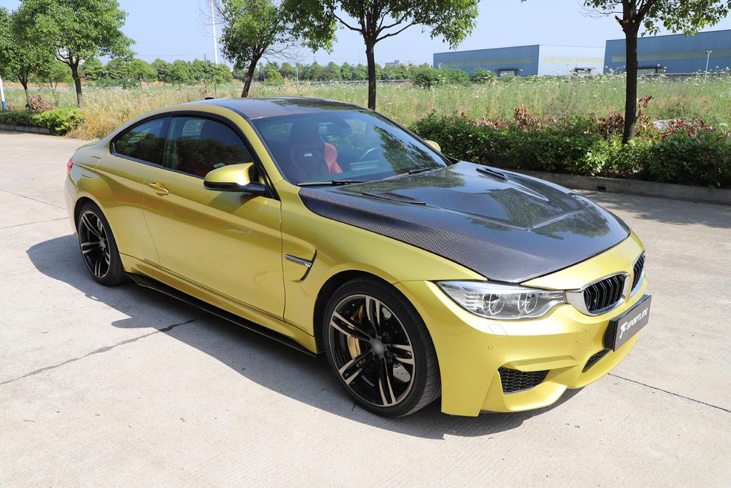 Carbon fiber Body Side Skirts
