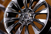 rims lc300